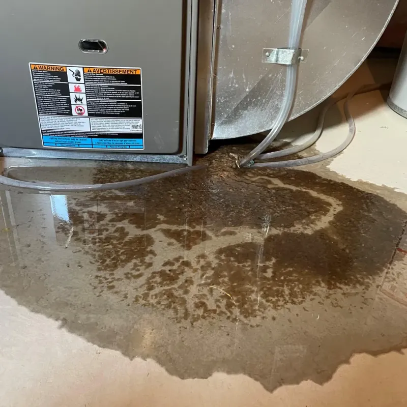 Appliance Leak Cleanup in Moffat County, CO