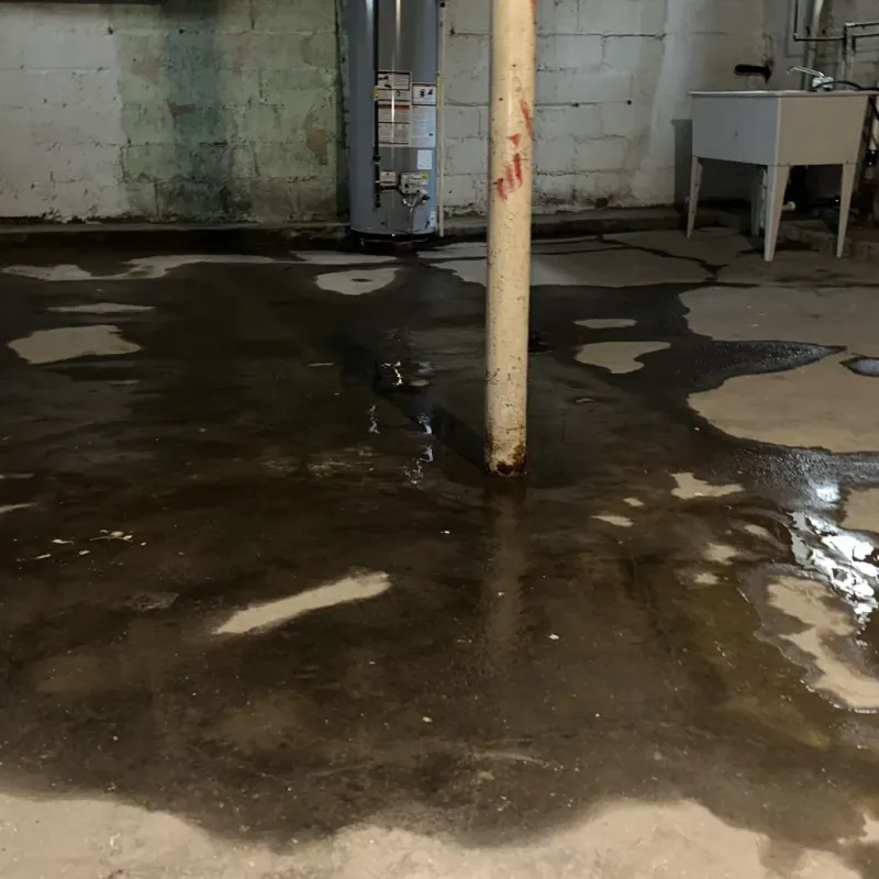 Emergency Water Extraction And Removal in Moffat County, CO